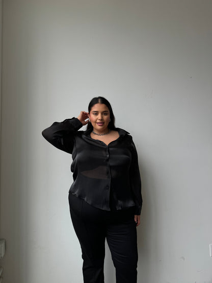 Plus Size Button Front Sheen Blouse